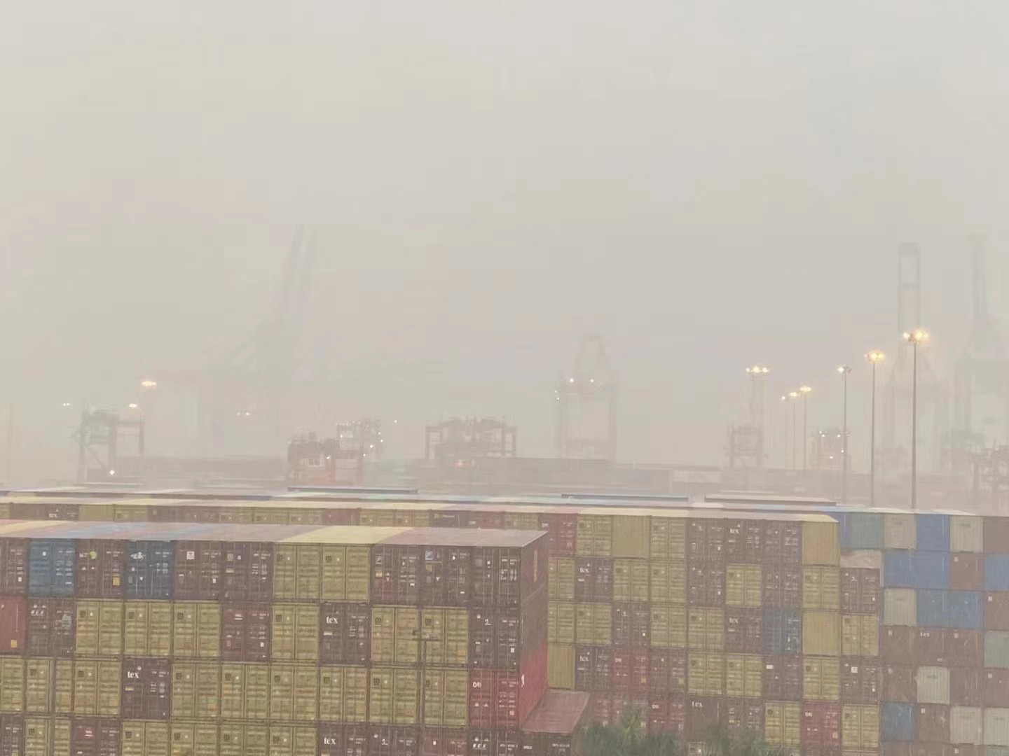 Tumingin mula sa Senghor Logistics Warehouse hanggang Yantian Port 1