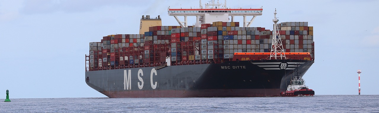 container-ship-msc-adjust-freight-rates-in-december-2024-news-by-senghor-logistics